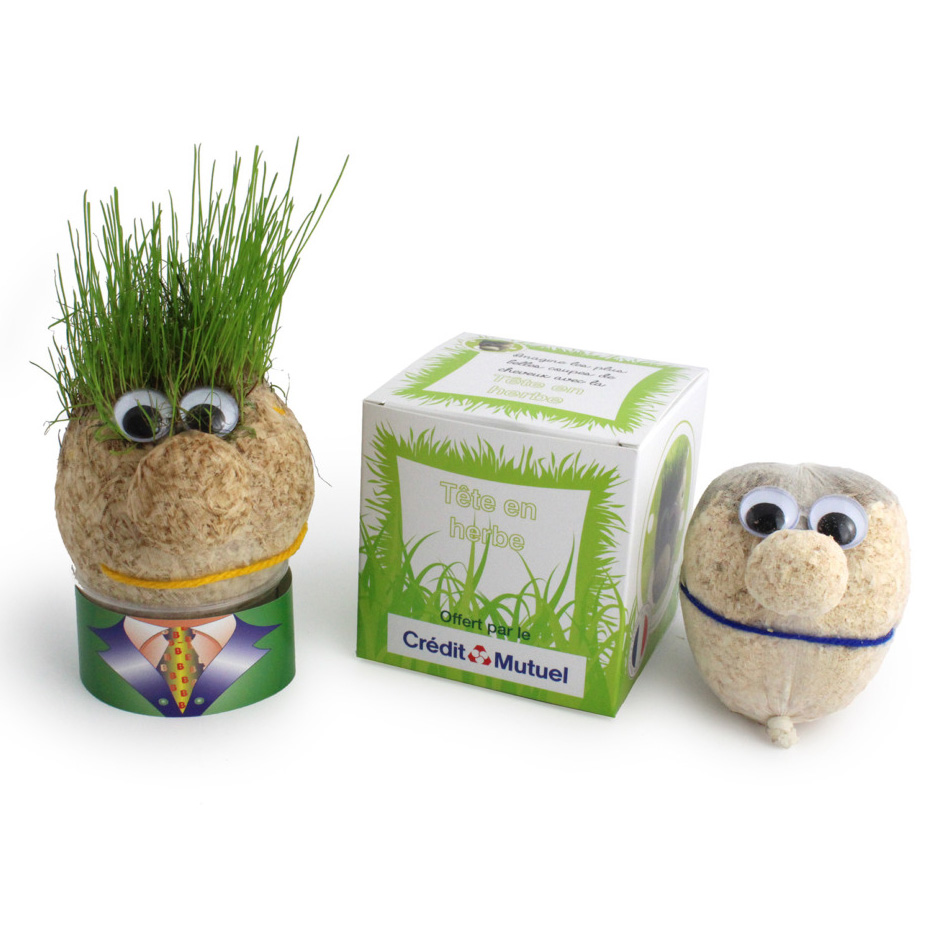 Tete Avec Graines De Gazon Tete En Herbe Tete Avec Graines De Gazon Tete En Herbe