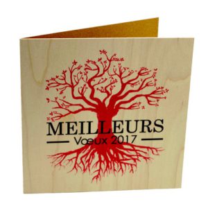 Envie D Une Carte De Vœux Originale Et Nature Vertlapub Envie D Une Carte De Vœux Originale Et Nature Vertlapub