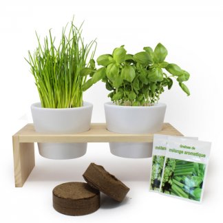 Kit De Plantation Aromatiques Sur Plateau En Bois PLATEAU DUO AROMATIQUES