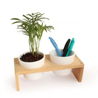 Mini Plante Et Pots En Céramique Sur Plateau De Bureau VERROBURO