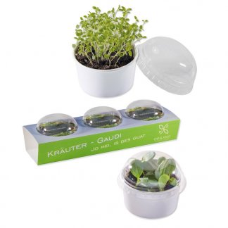 3 kits de plantation dans pots promotionnels avec mini-serres