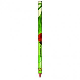 Crayon graphite BiC publicitaire en plastique recyclé - quadri vert - BIC EVOLUTION