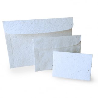 Enveloppe biodégradable avec graines - 3 formats - BIOPOSTE