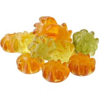 Gomme de fruit à l'Aloé Vera pour végétaliens - sachet personnalisable de 10g - bonbons vrac - BIEN-ETRE VEGAN