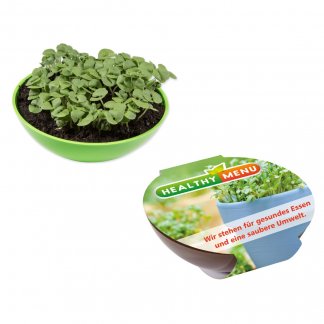 Kit de plantation dans coupelle publicitaire - SWING