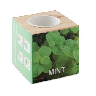 Kit de plantation dans cube en bois personnalisée - Etiquette - MINT