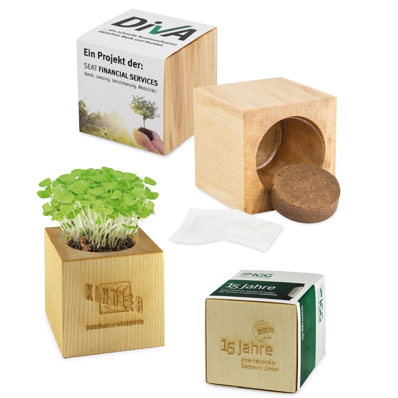 Kit de plantation dans cube en bois personnalisé - CUBE BOIS