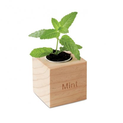 Kit De Plantation Dans Cube En Bois Publicitaire MINT