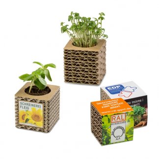 Kit de plantation dans cube en carton promotionnel - 2 formats - CUBE CARTON ONDULE