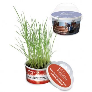 Kit de plantation dans mini serre promotionnelle