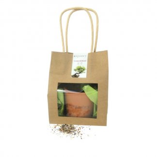 Kit de plantation dans pochon en kraft personnalisé - KRAFTGRAINES