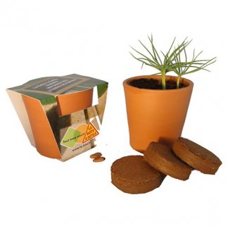 Kit de plantation dans pot en terre cuite - Ø10cm - KITTERRE