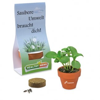 Kit de plantation dans pot en terre cuite avec pochette carton publicitaire