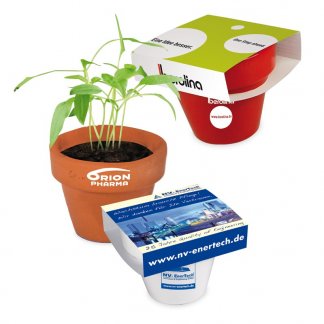 Kit de plantation dans pot en terre cuite et fourreau chapeau personnalisé