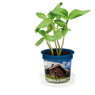 Kit de plantation dans pot personnalisable - Marquage Quadrichromie sur le pot - FLORERO