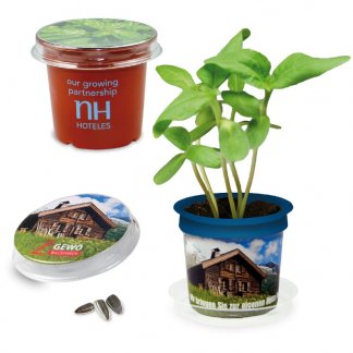 Kit de plantation dans pot promotionnel - FLORERO