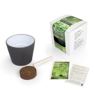 Kit de plantation personnalisé dans pot en ardoise - Tout - APERO