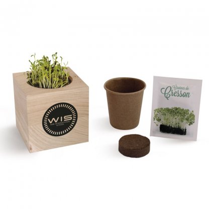 Kit De Plantation Promotionnel Dans Cube En Bois Ouvert NATURACUBE