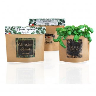 Kit de plantation promotionnel dans enveloppe kraft - Famille - POP UP