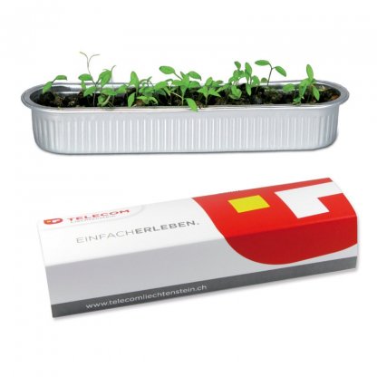 Kit De Plantation Promotionnel Dans Mini Barquette De Culture En Aluminium