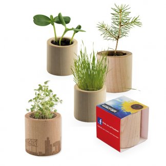 Kit de plantation promotionnel dans pot en bois rond - POT ROND BOIS