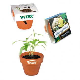 Kit de plantation publicitaire dans mini pot en terre cuite avec fourreau chapeau