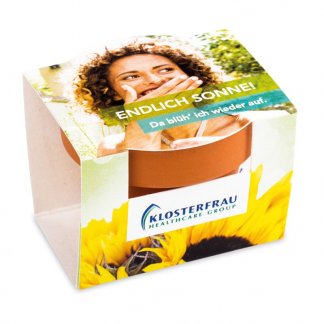 Kit de plantation publicitaire dans mini pot en terre cuite et fourreau - Marquage Fourreau Quadri