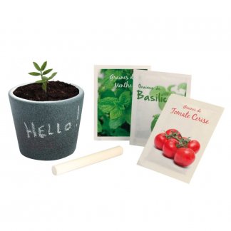 Kit de plantation publicitaire dans pot en ardoise - Ouvert - APERO