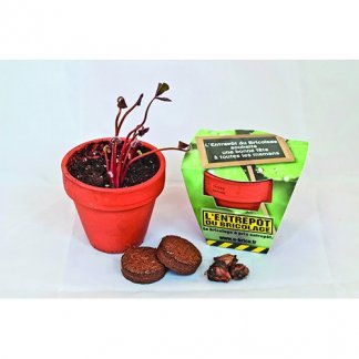 Kit de plantation publicitaire dans pot en terre cuite - Ø8cm - KITTERRE