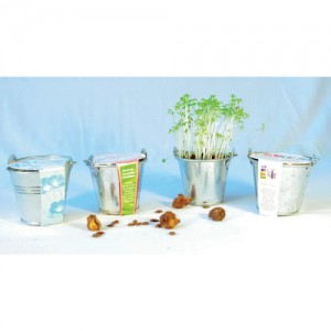 Kit de plantation publicitaire dans pot en zinc Ø6cm - ZINCGRAINES