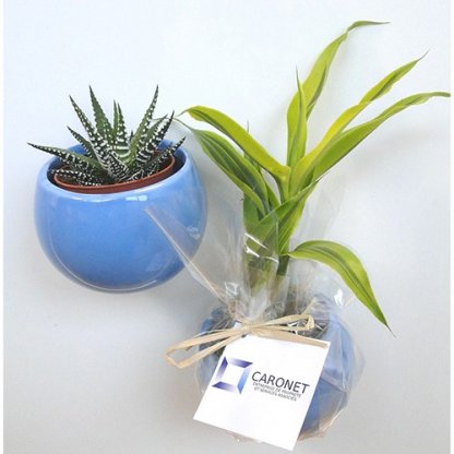 Mini Plante Dans Pot En Céramique Aimanté Publicitaire Bleu CERAMANT