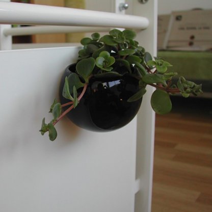 Mini Plante Dans Pot En Céramique Aimanté Publicitaire En Situation CERAMANT