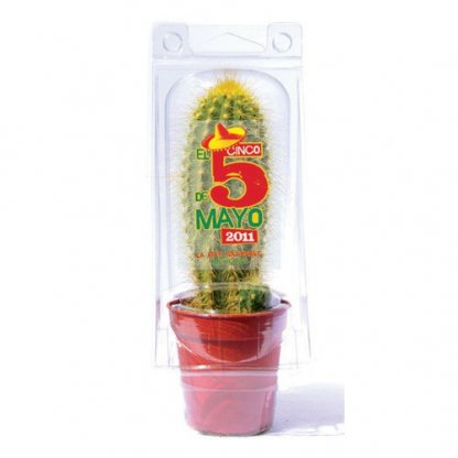 Mini Serre Publicitaire Pour Cactus En Bouteilles Plastiques Recyclées PROTEC