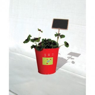 Trèfle à 4 feuilles dans pot Ø10cm rouge publicitaire - BONHEUR