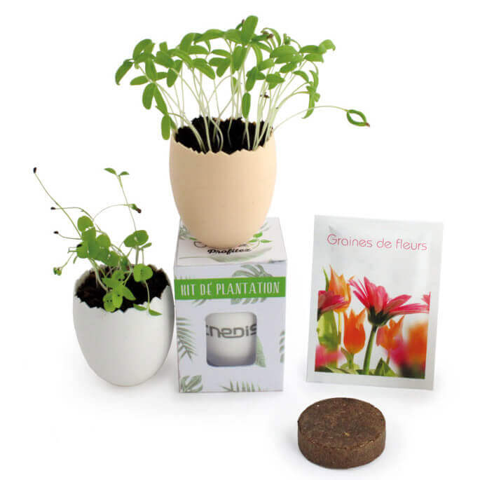 Objet pub kit de plantation