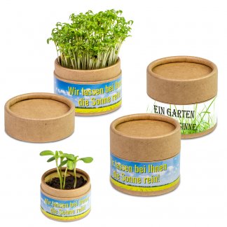 Kit De Plantation Promotionnel Dans Boite En Papier Kraft GARTEN