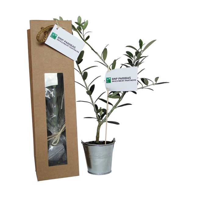 cadeau publicitaire arbre à planter