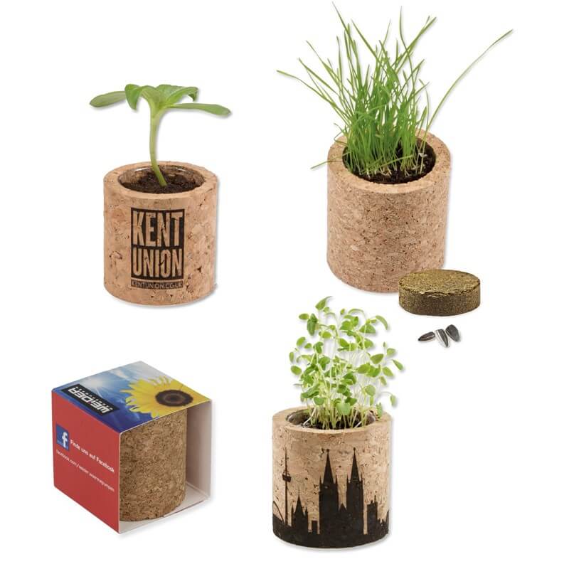 objet pub printemps kit de plantation