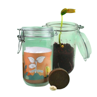 Kit de plantation publicitaire avec graine gravée - BOCALMAGIC
